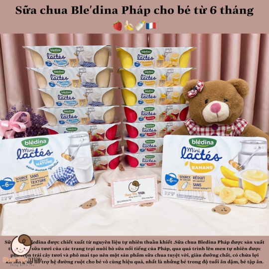 Sữa chua Bledina Pháp lốc 6 hũ ( 55g) Hàng air ( Mẹ note vị vào ghi chú đơn hàng khi đặt)