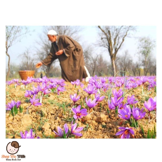 Saffon iran Mr. Brown hộp 1G