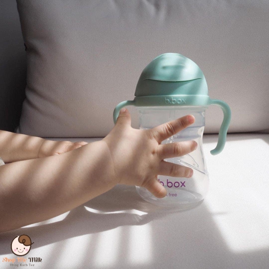 Bình B.Box tập hút cho bé từ 6 tháng 240ml của Úc ( có quả tạ chống sặc, chống lật đổ nước)