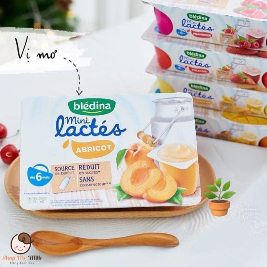 Sữa chua Bledina Pháp lốc 6 hũ ( 55g) Hàng air ( Mẹ note vị vào ghi chú đơn hàng khi đặt)