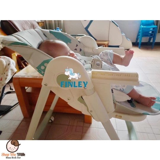 Ghế ăn dặm Finley Hinton đa năng chỉnh cao thấp gấp gọn cho bé ăn dặm ( Bảo hành)