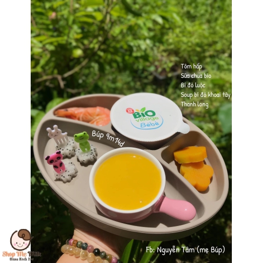 Sữa chua Bio Vilage Bé.Bé Bio Pháp lốc 4 Hũ 100g ( note vị trong ghi chú đặt hàng)