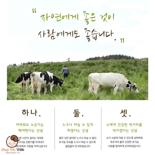 Sữa Sangha Meail Organic - Sữa tươi hữu cơ Hàn Quốc vị nguyên chất Thùng 24 hộp 125ml