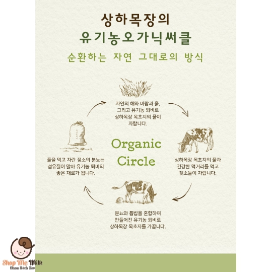 Sữa Sangha Meail Organic - Sữa tươi hữu cơ Hàn Quốc vị nguyên chất Thùng 24 hộp 125ml