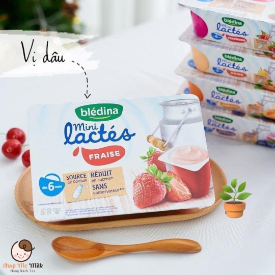 Sữa chua Bledina Pháp lốc 6 hũ ( 55g) Hàng air ( Mẹ note vị vào ghi chú đơn hàng khi đặt)
