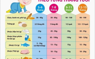 Lịch ăn dặm tham khảo cho bé từ 5-18m